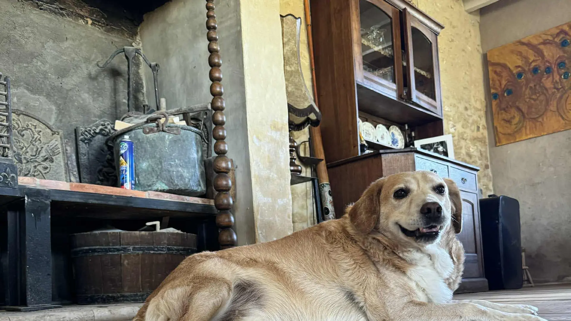 c0cc6031-de59-4c03-9e4e-1538c2fb4ff5