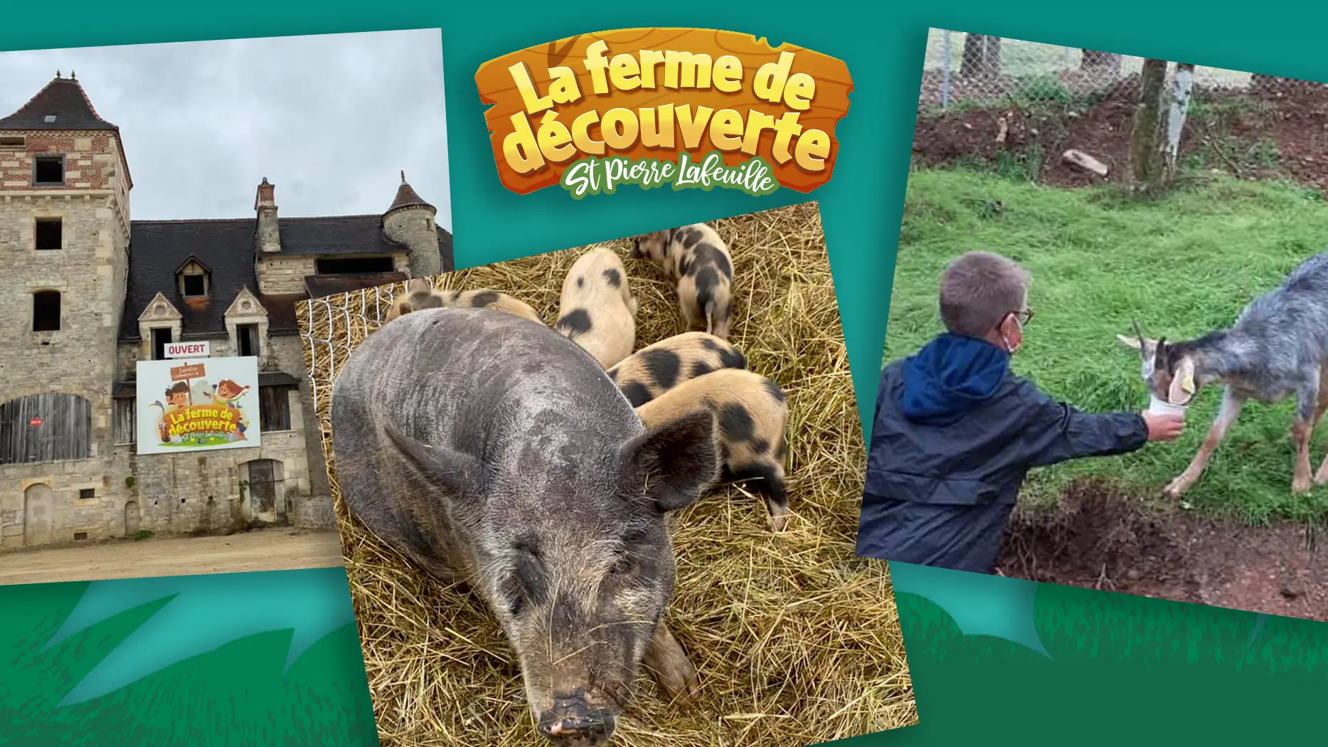 campagne-facebook-ferme-st-pierre-lafeuiile-03