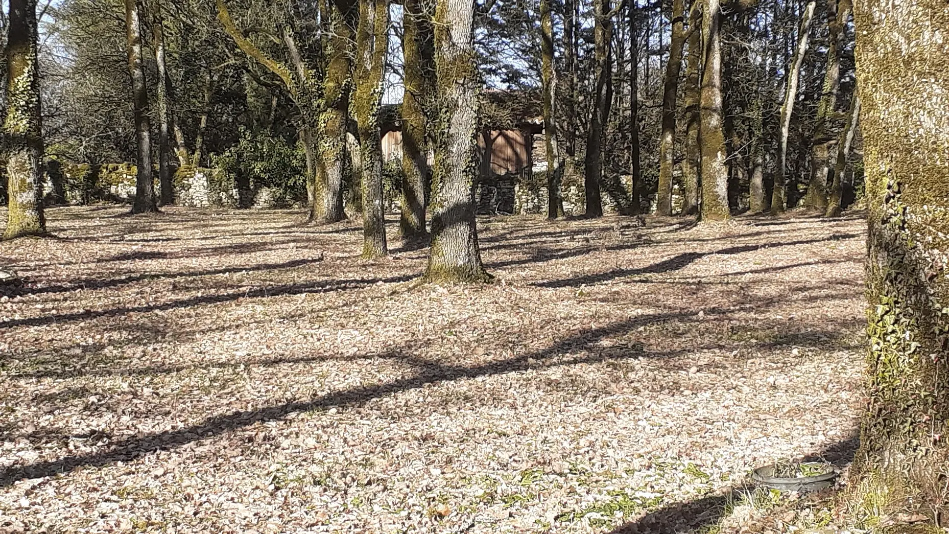 camping à la ferme 2