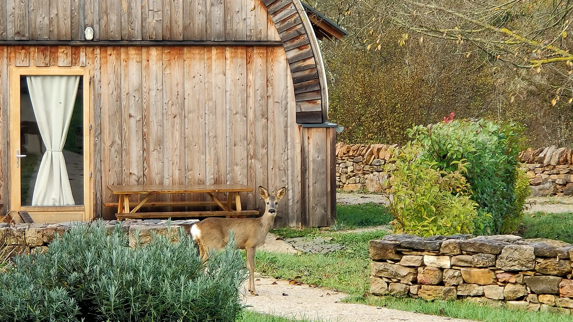 Camping Faune