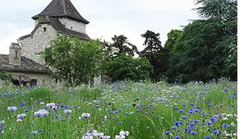 cahors_bio