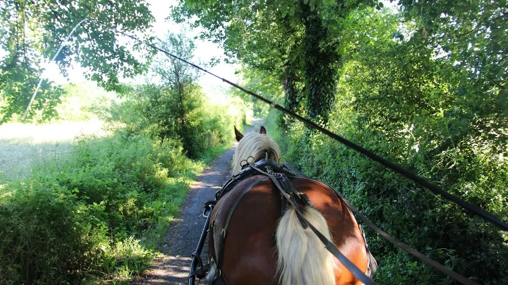 Balade dans la campagne