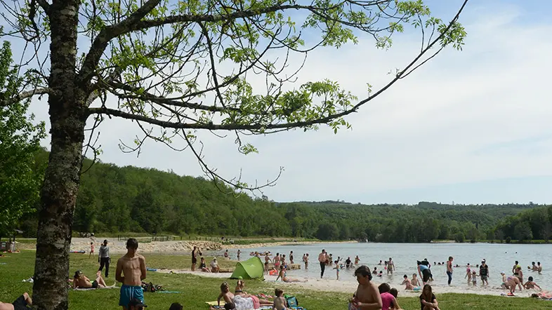 catus-lac-vert