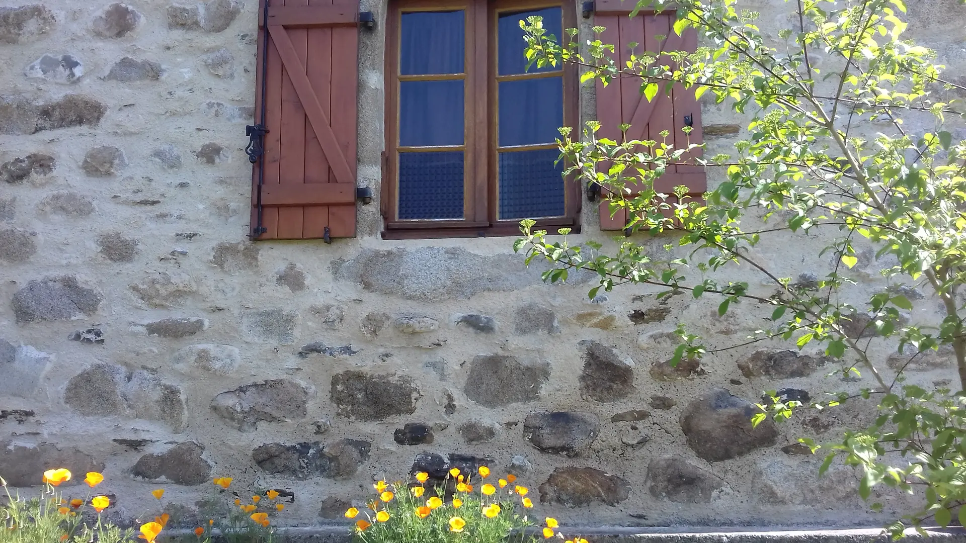 Fenêtre de la chambre d'hôte