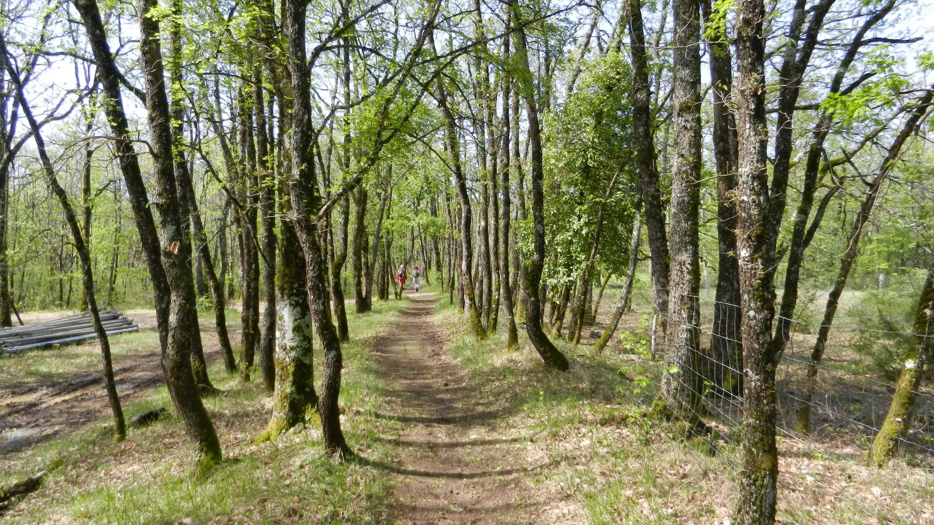 Chemin de randonnée