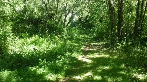 Sentier des argiles - Cambes