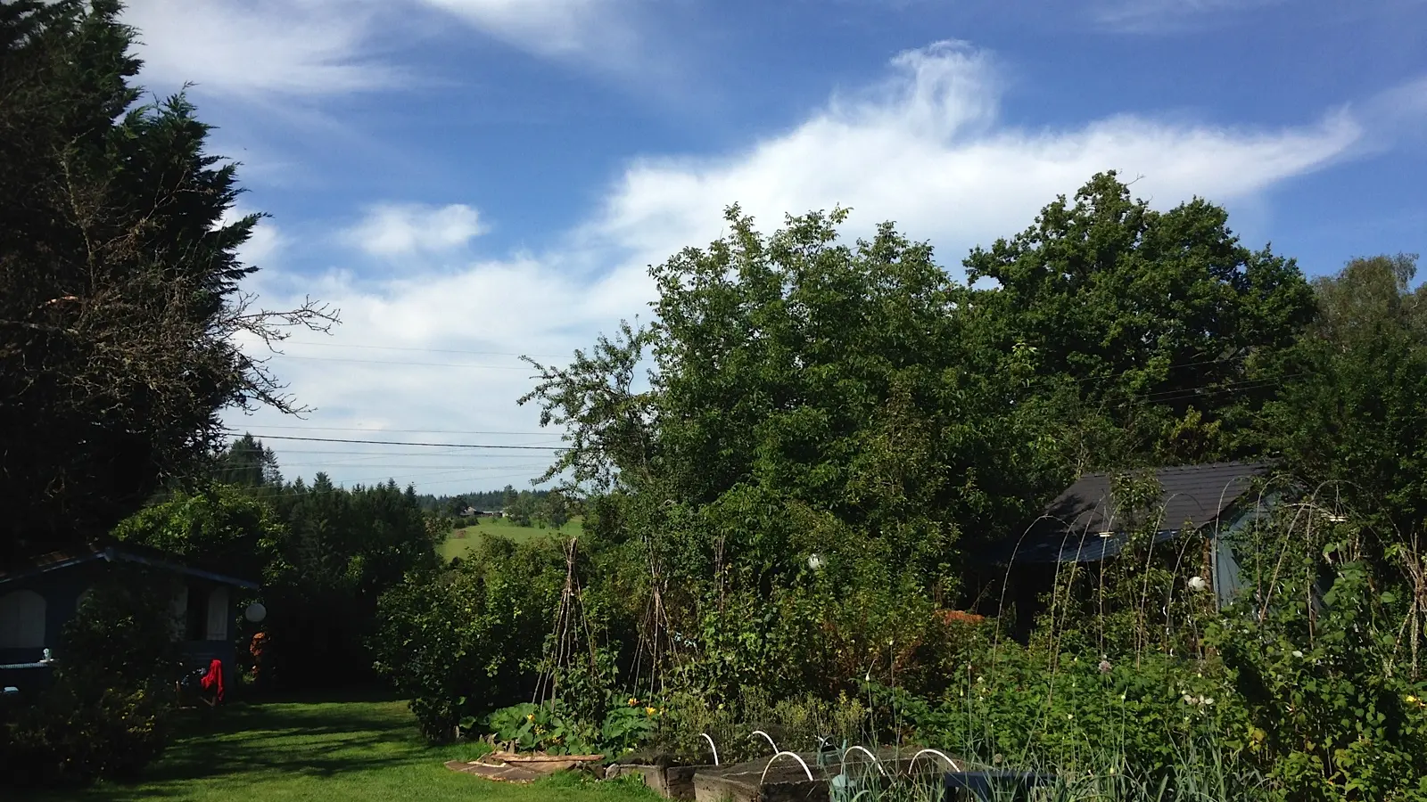 Location Mollema - Goulles - Potager