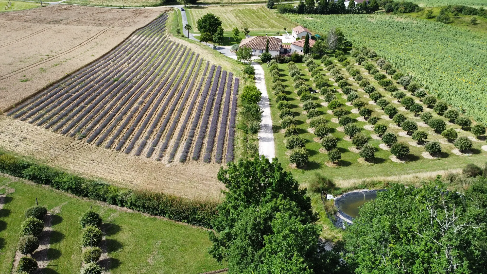 dji_fly_20230703_102750_180_1688379632047_photo_optimized