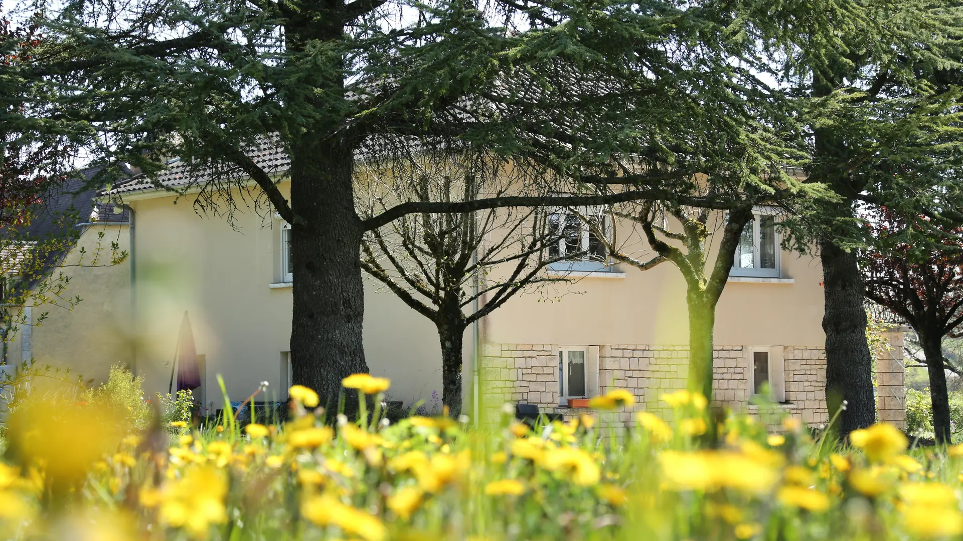 sous les sapins à Bel air