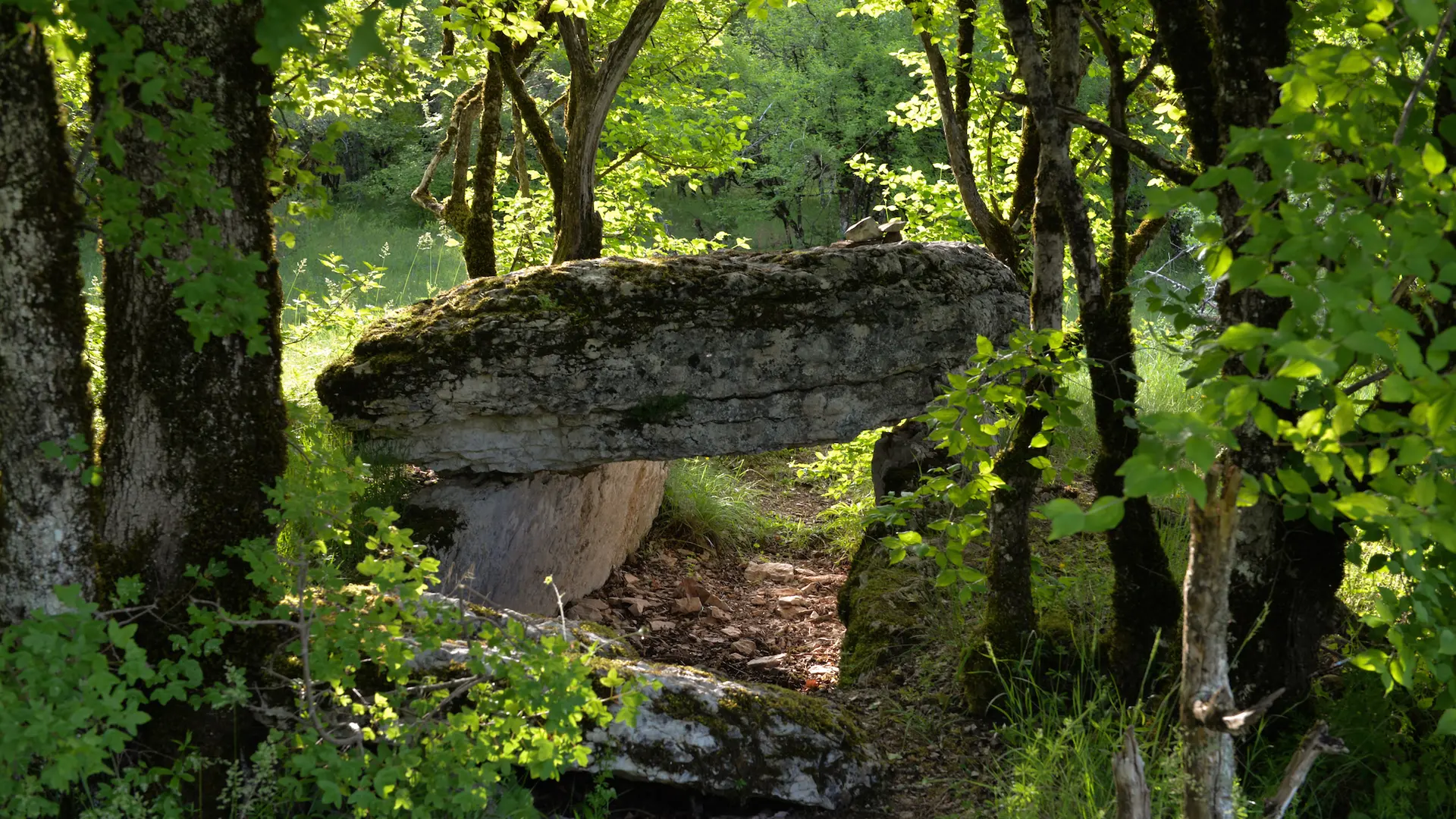 Dolmen de Joncas