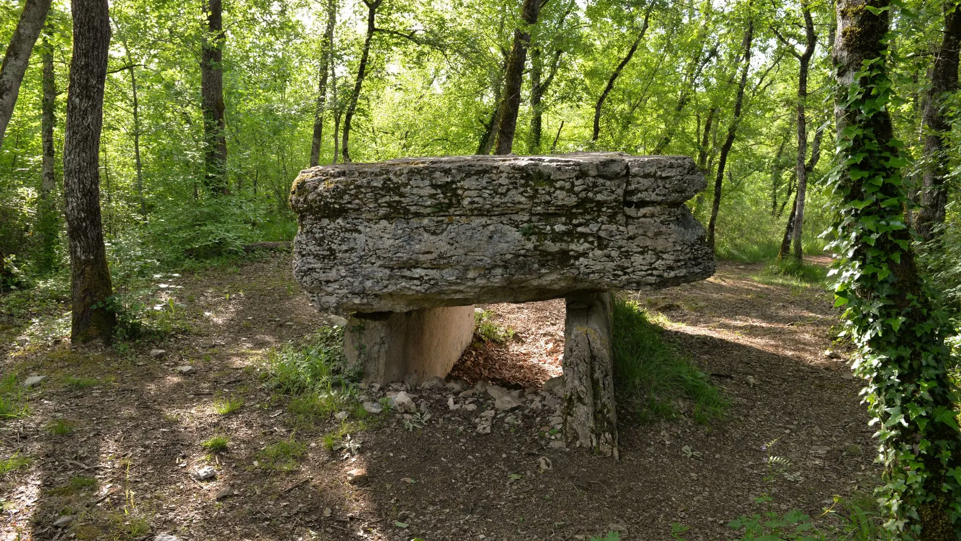 Dolmen de Pech Lapeyre