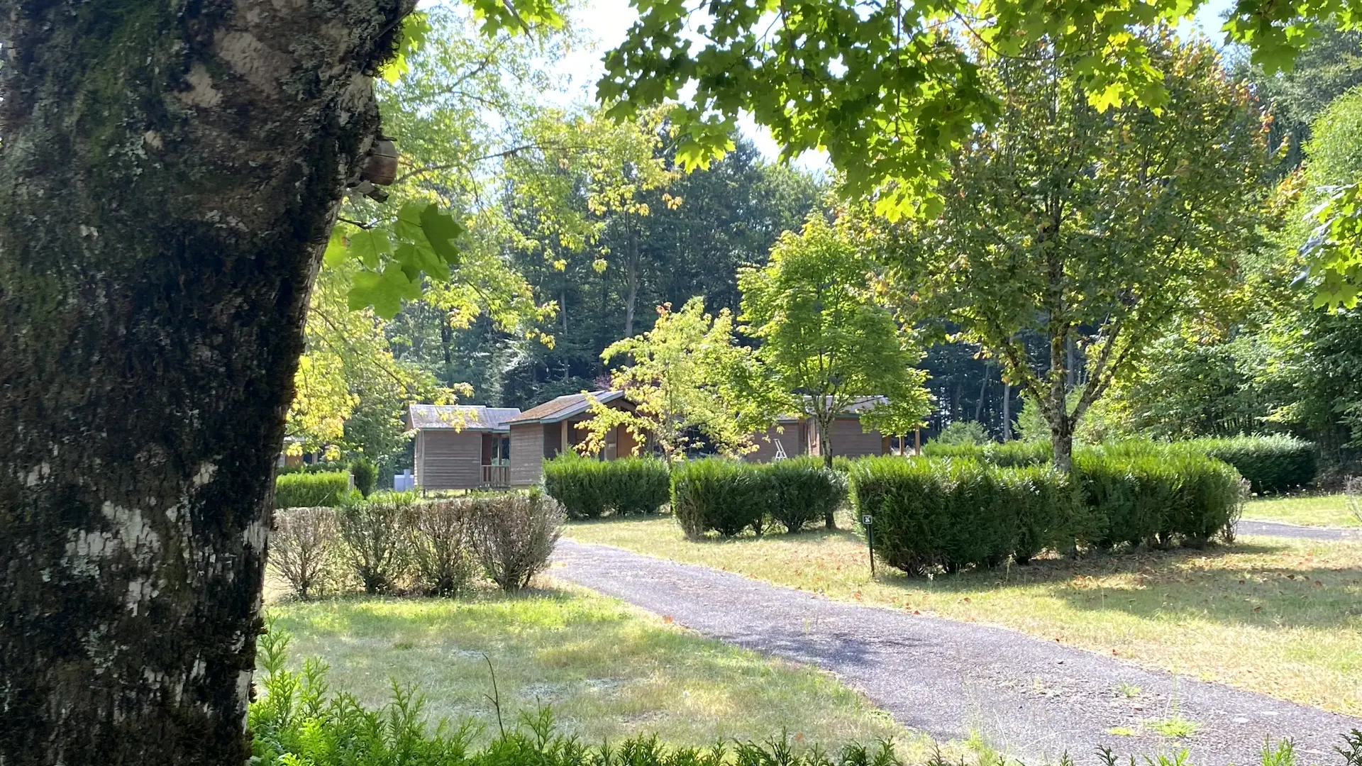 Camping Le Vert-Bois à Saint-Martin-la-Méanne, emplacements nus