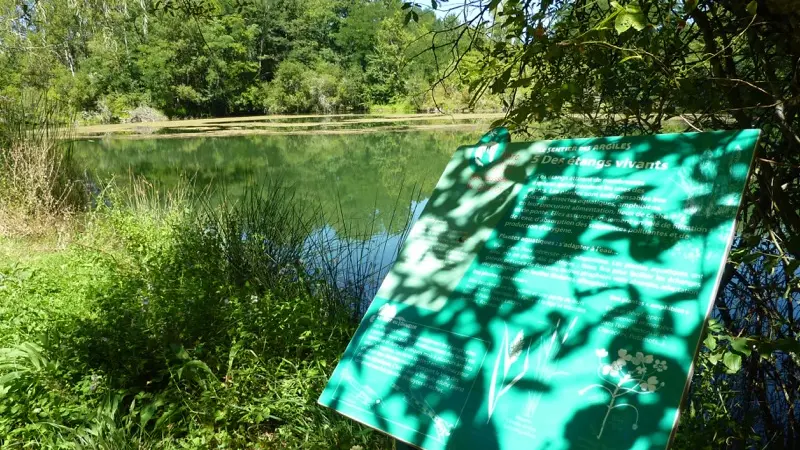 Sentier des argiles - Cambes