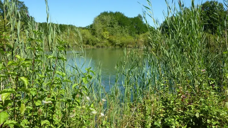 Sentier des argiles - Cambes