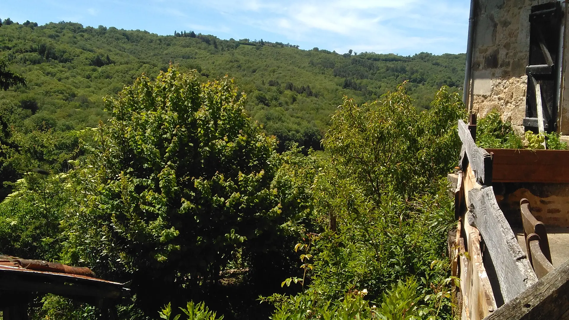 Vue depuis terrasse