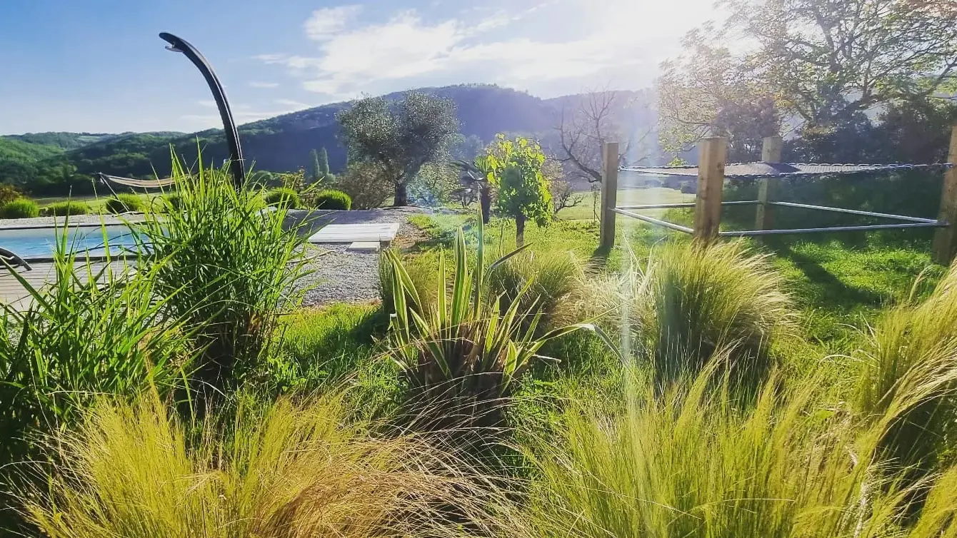 Vue sur le filet et les plantes