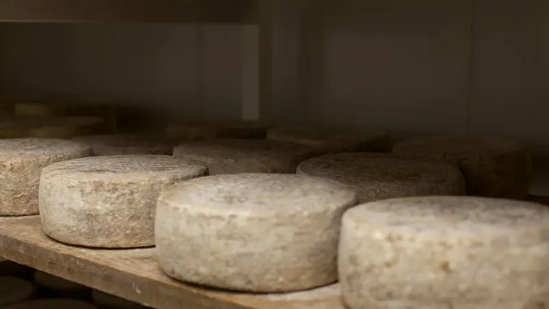 Ferme des Gariottes Saint Martin Labouval