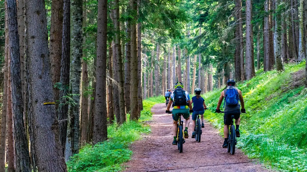 Vélos