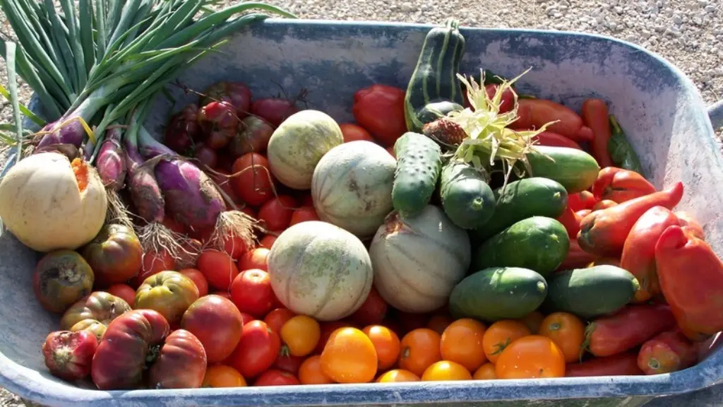 fruits-legumes-ferme-ques-aquo