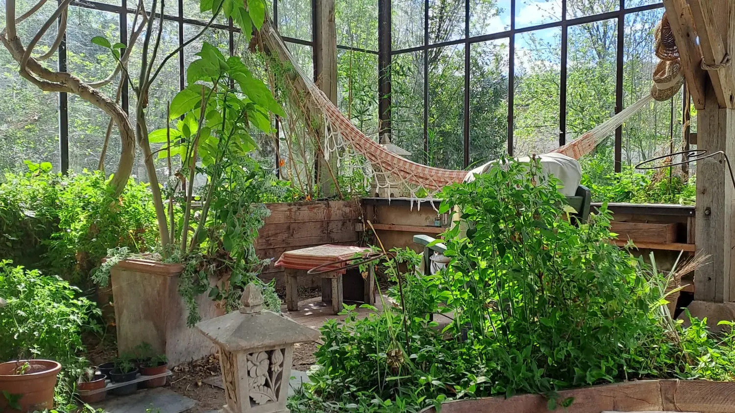 jardin d'hiver