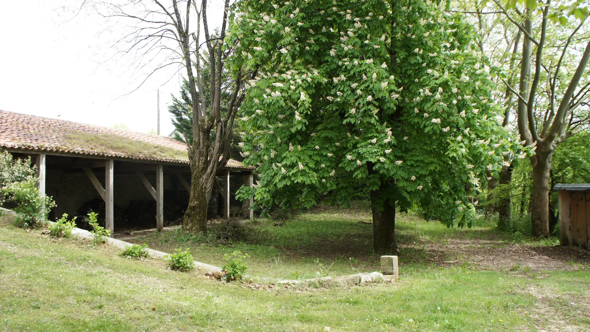 Jardin