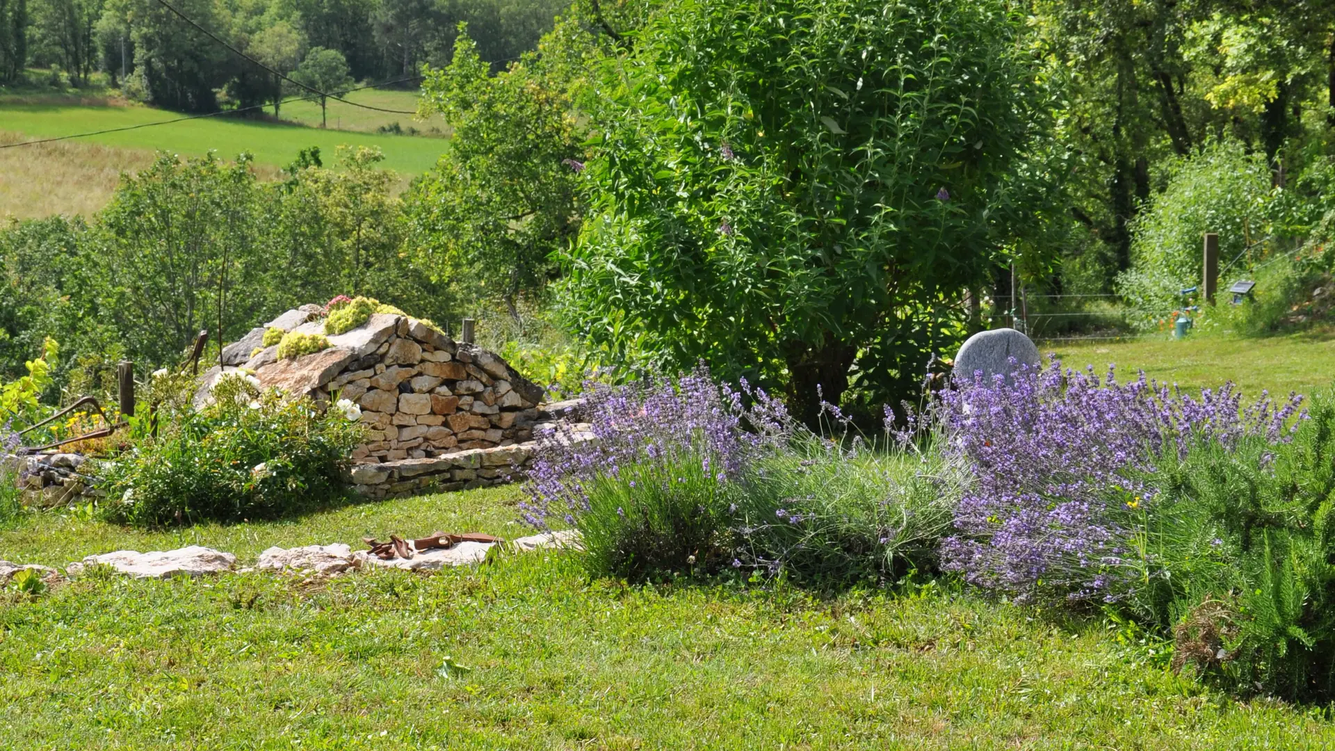 jardin