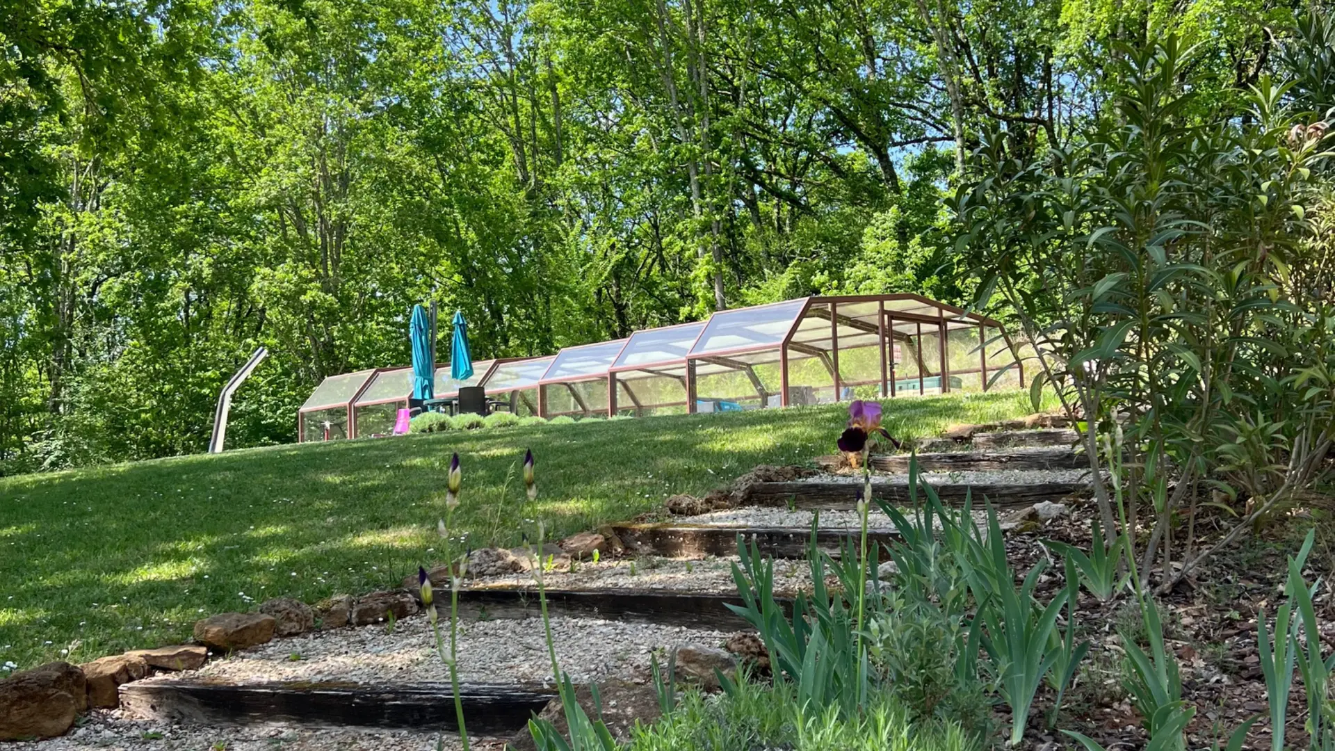jardin et piscine