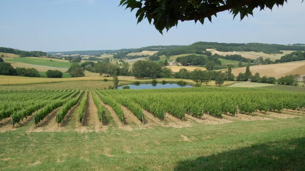 Domaine de Cauquelle