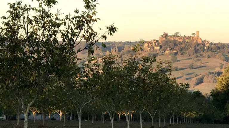 la-vie-contee-histoire-et-terroir-vergers-noyers-chateau-turenne-768x576