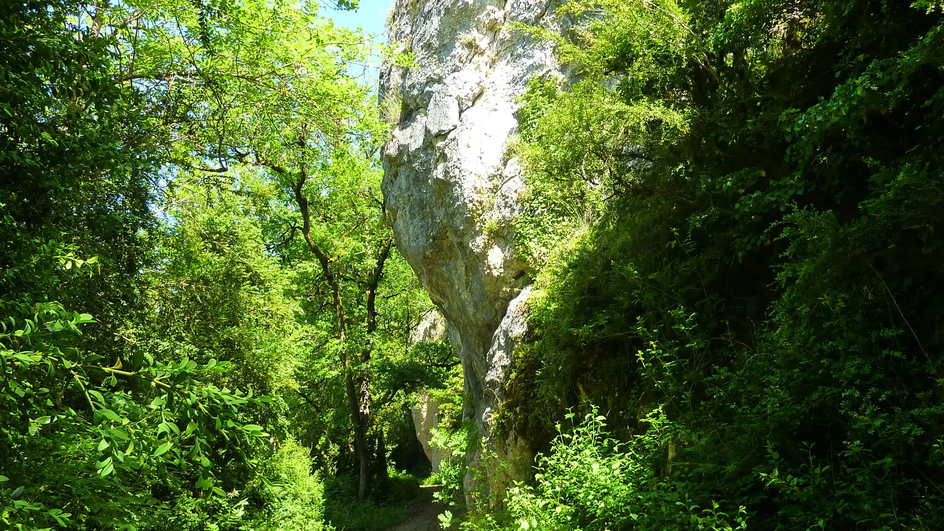 la Carderie  - Sous le Combe du Drap_02 © Lot Tourisme - C. Sanchez