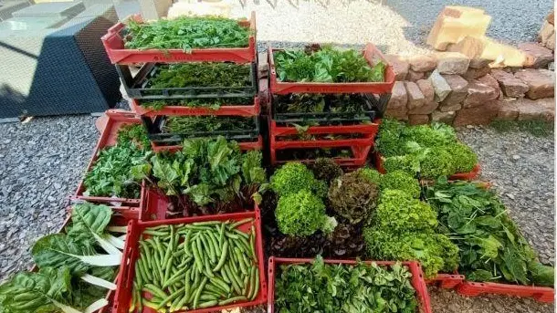 la_ferme_rouge_et_vert_2