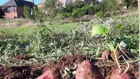 la_ferme_rouge_et_vert_3