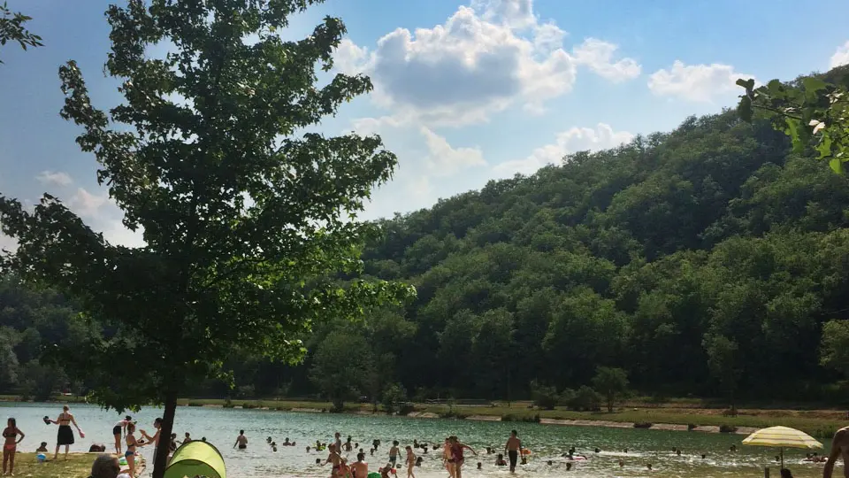 lac-vert-catus