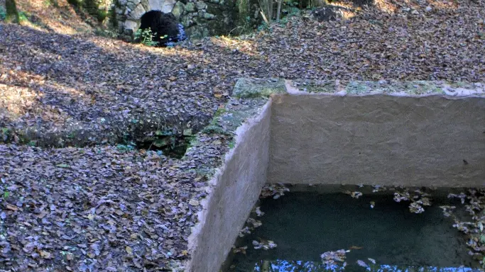 lavoir lestang