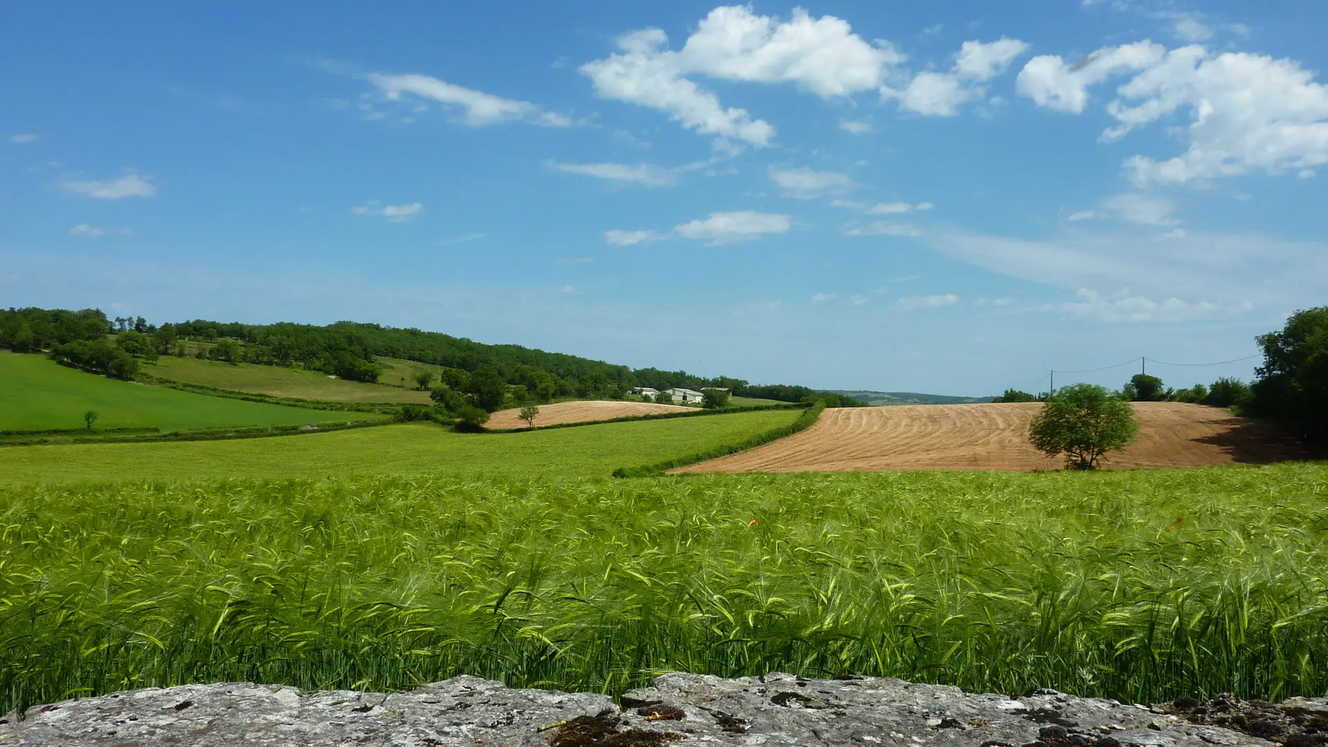 le Mas Delfour - Campagne lotoise_10 © Lot Tourisme - C. Sanchez