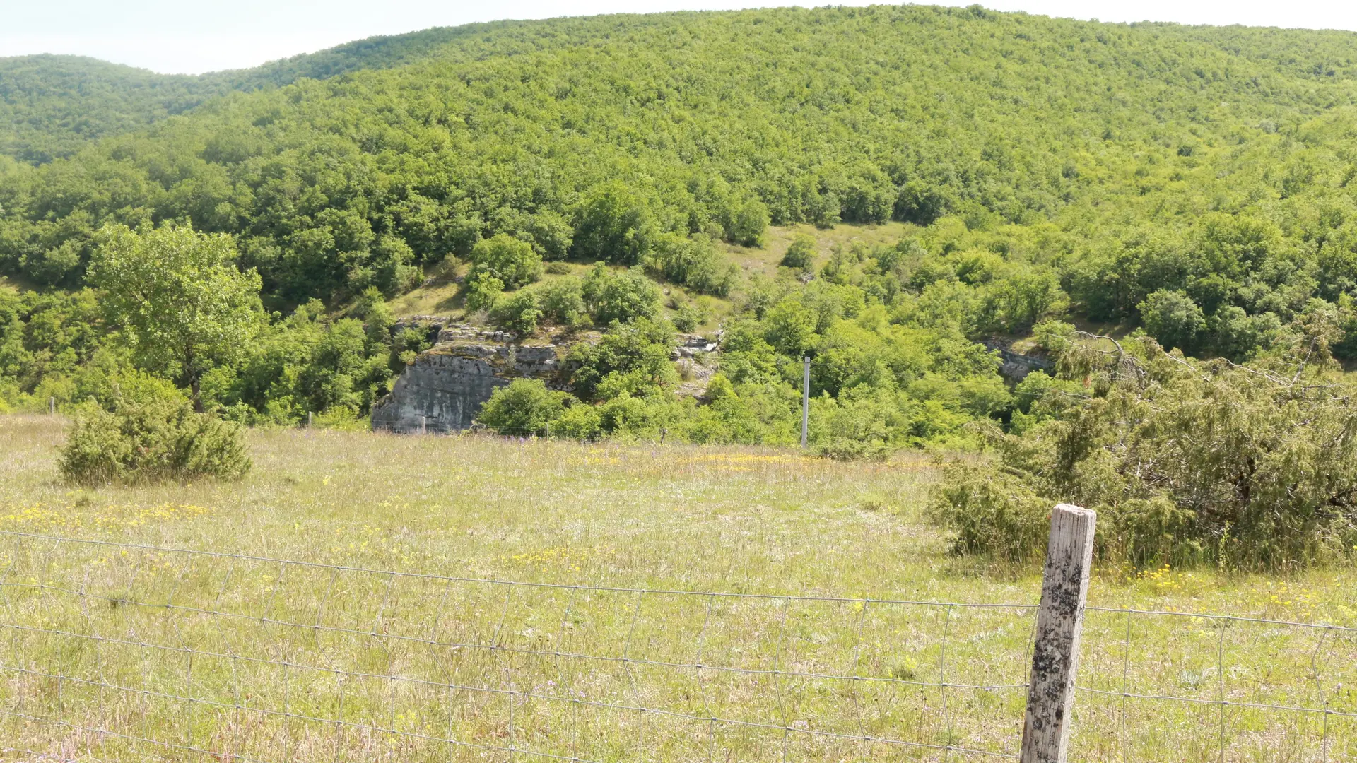 le plateau -_vegetation_du_causse_a_rocamadourjpg