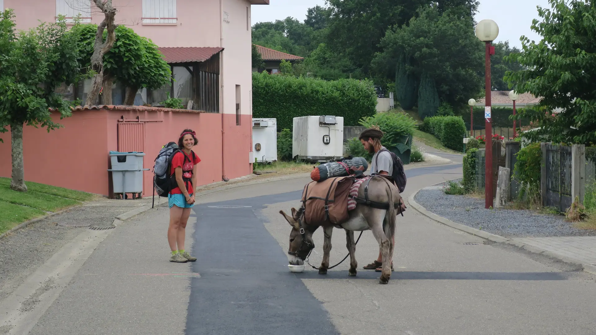 les Anes du Causse-Floirac-10