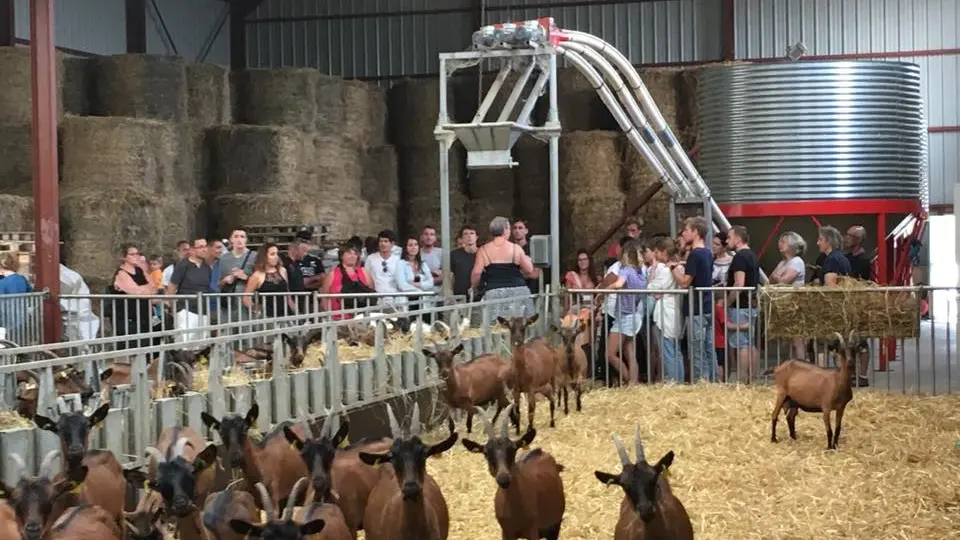 Ferme de Létou chèvrerie à St Cirq Lapopie