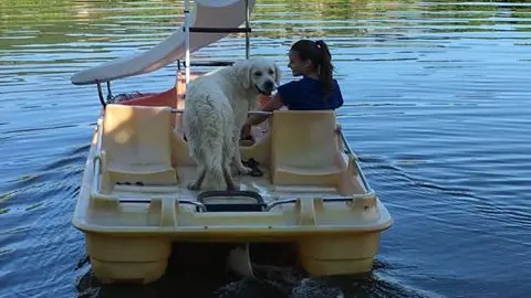 location-pedalo-lot