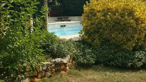 Jardin et Piscine