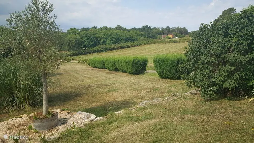 Le jardin et la vue