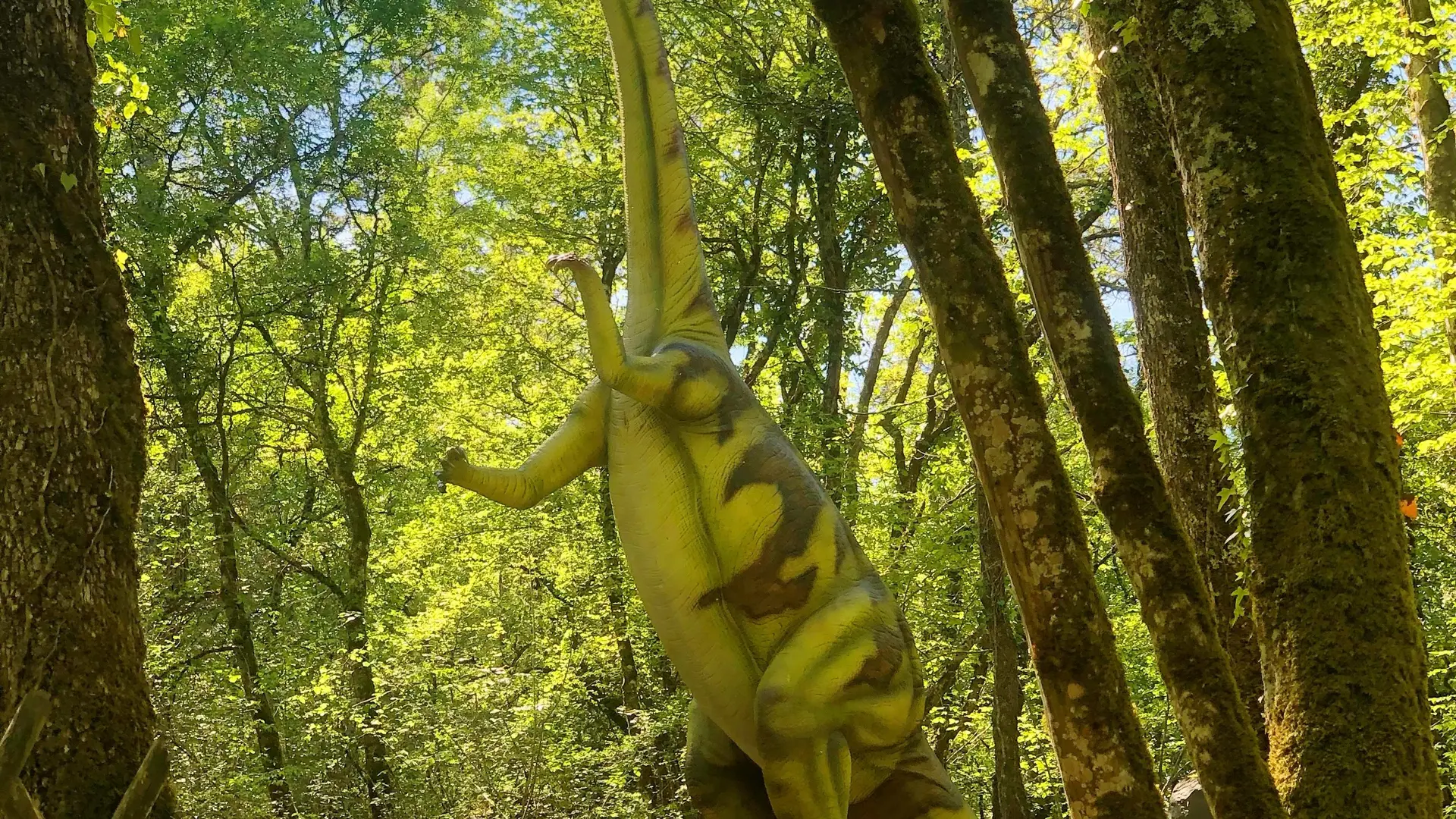 plateosaure _ parc aux dinosaures
