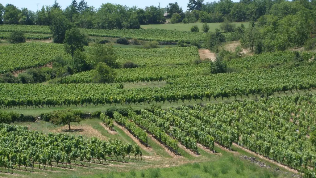 Paysage vigne domaine du Prince