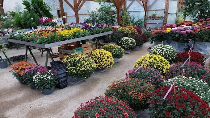 pépi chapi fleurs