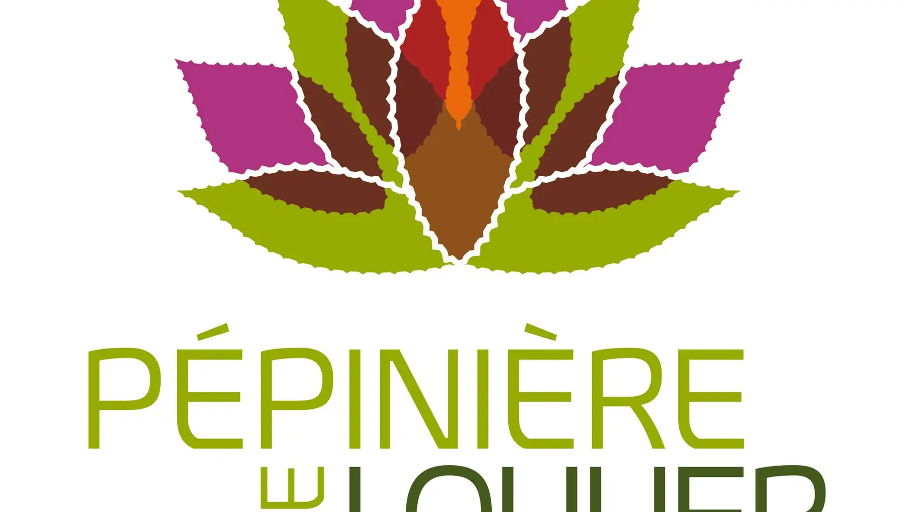 pepiniere de loulier