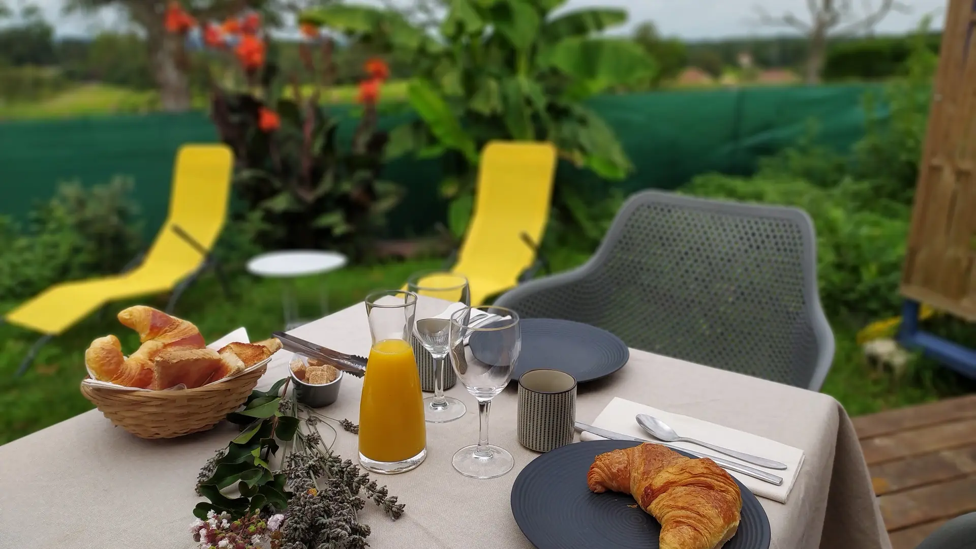 petit déjeuner sur la terrasse