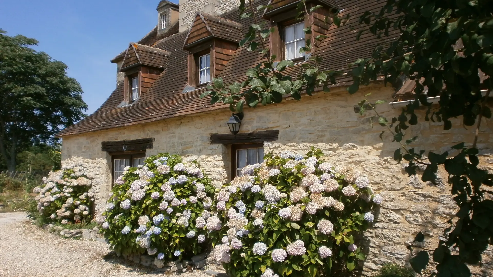 photos du charmant cottage aux hortensias