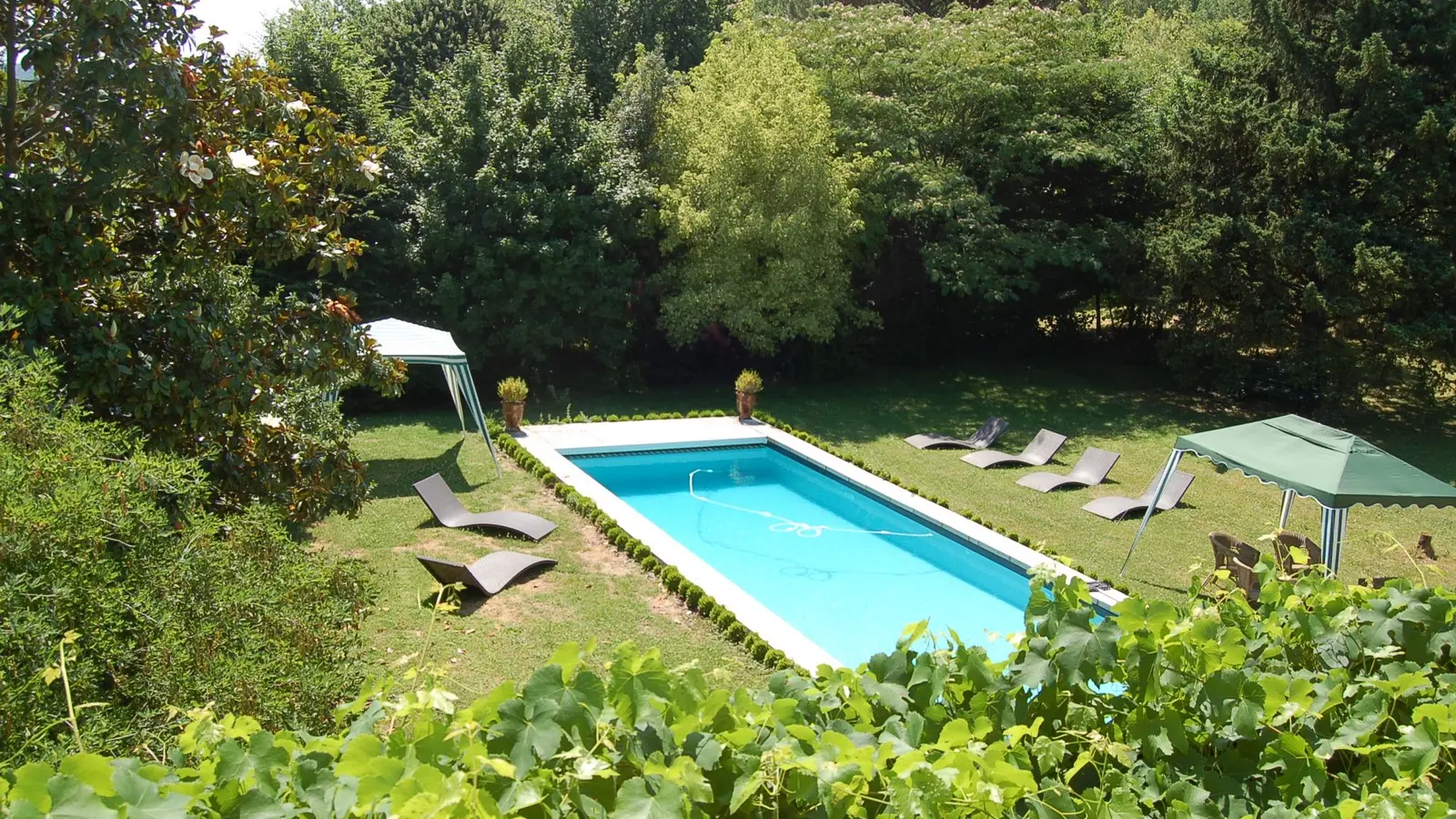 Piscine et jardin