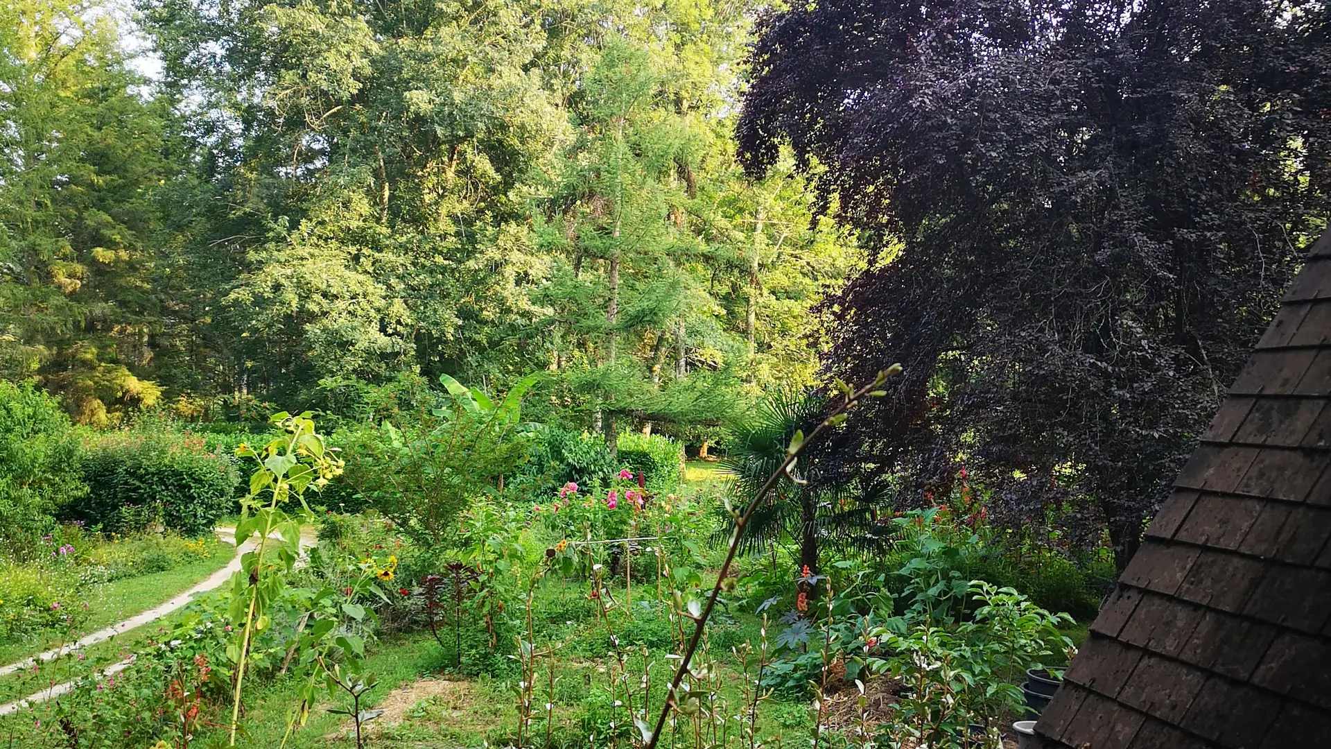 Potager
