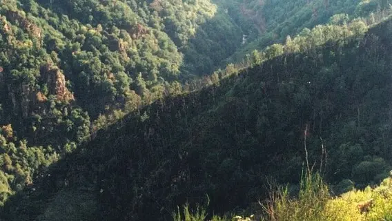 rocher-du-peintre-photo-ancienne